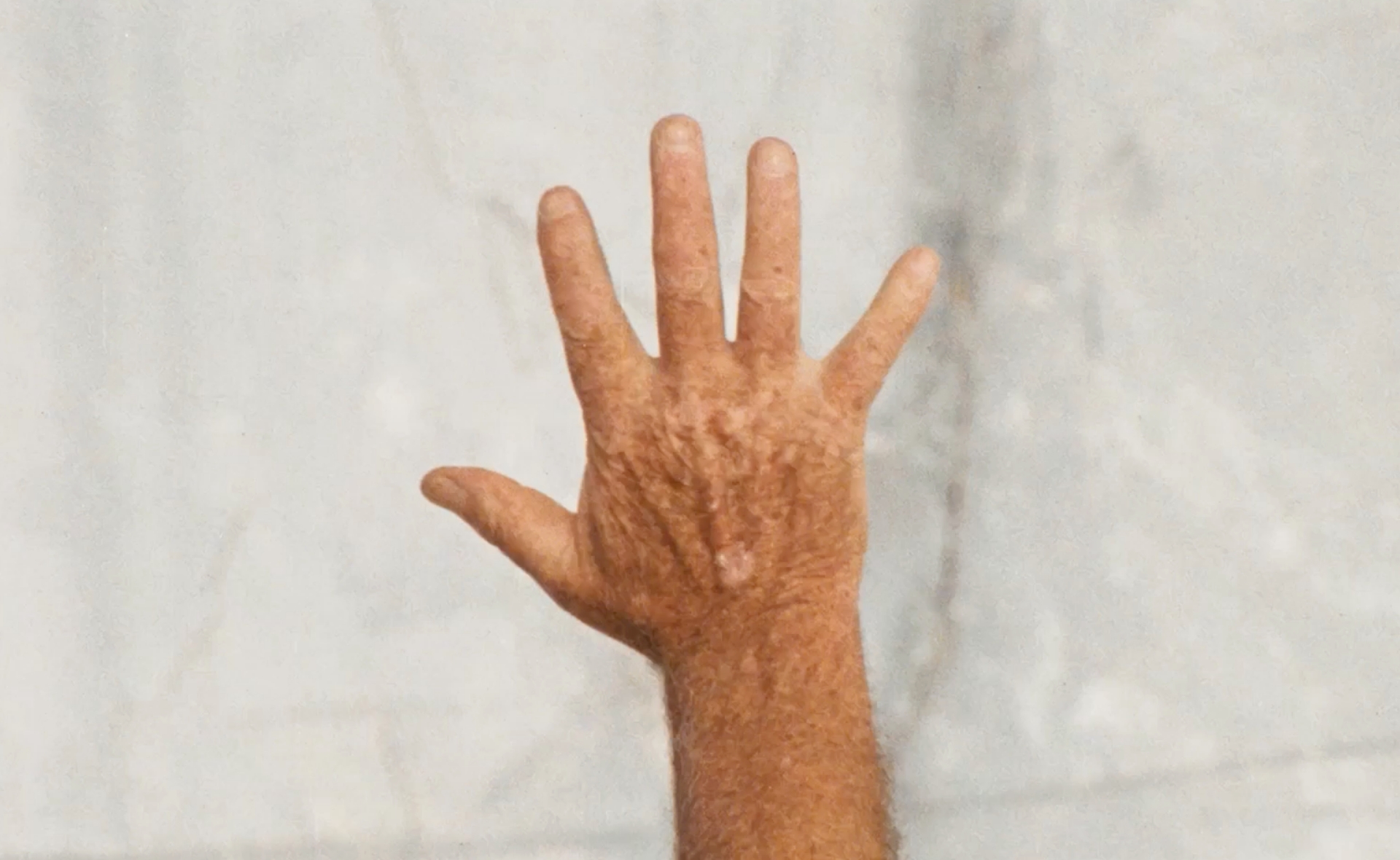 summer season 2026 img 13